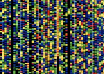 Google lanza IA para ayudar a investigadores a descifrar genes.