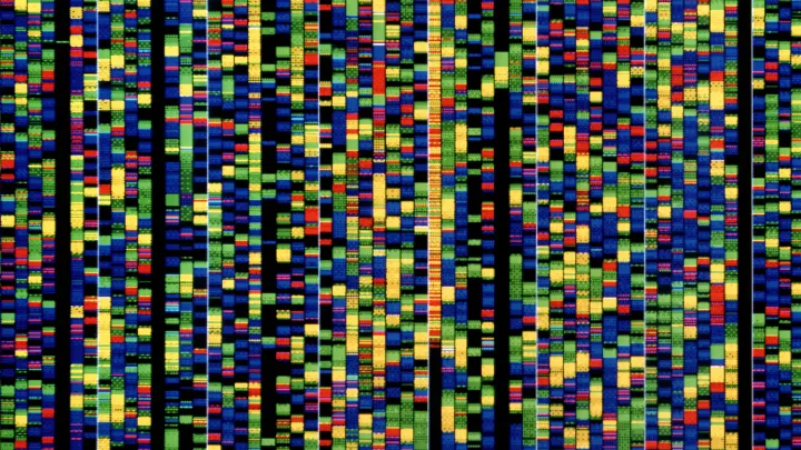 Google lanza IA para ayudar a investigadores a descifrar genes.
