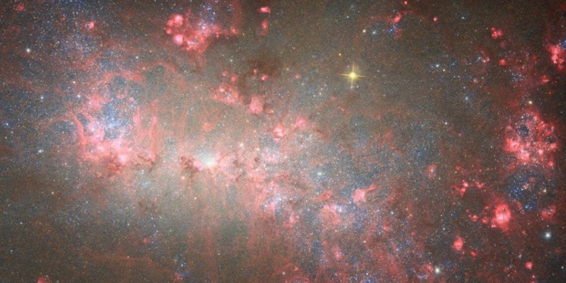 El telescopio espacial Hubble está llevando a cabo un exhaustivo estudio de una galaxia de tamaño reducido pero notablemente potente.