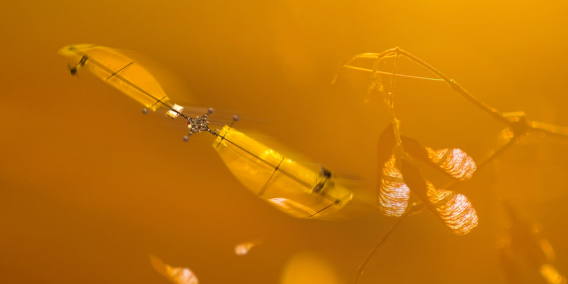 Este dron aprende a volar gracias a las semillas de arce