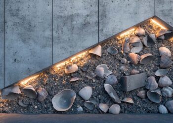 Los moluscos tienen el secreto de un hormigón más ecológico.