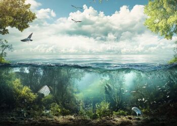 A continuación, se presentan ocho tecnologías innovadoras que han demostrado ser efectivas en la reducción de la contaminación ambiental en diferentes ámbitos, incluyendo la tierra, el mar y el aire.