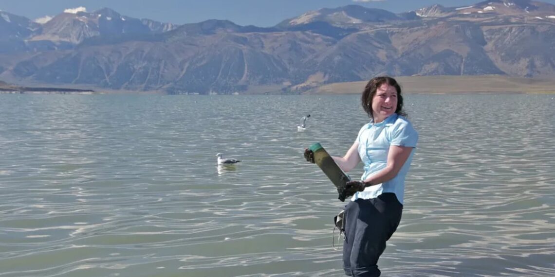 «Science» retracta estudio sobre vida alternativa 15 años después.