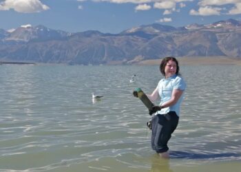 «Science» retracta estudio sobre vida alternativa 15 años después.