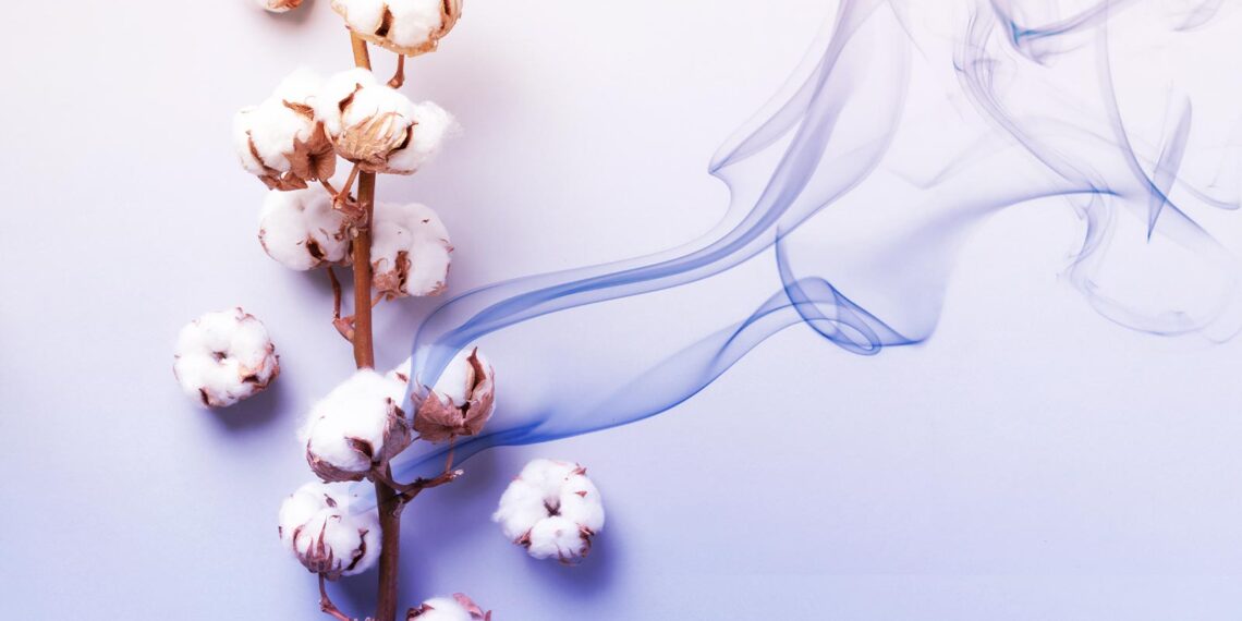 «Nuevo tejido de algodón capta CO2».