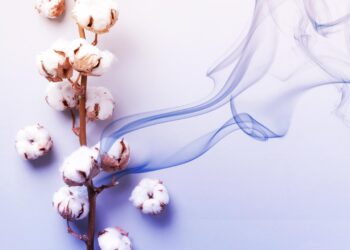 «Nuevo tejido de algodón capta CO2».