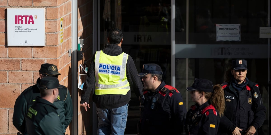 Los análisis genéticos indican que el virus de la peste porcina no se originó en el laboratorio de la Generalitat, ubicado a pocos cientos de metros.