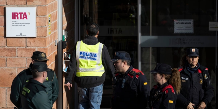Los análisis genéticos indican que el virus de la peste porcina no se originó en el laboratorio de la Generalitat, ubicado a pocos cientos de metros.