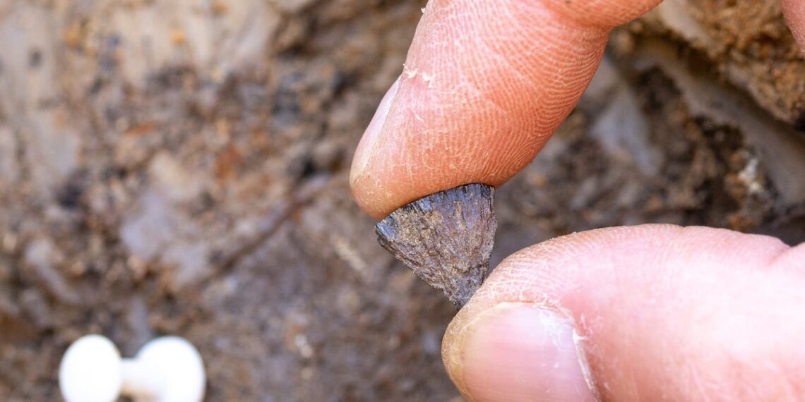 Neandertales fueron los primeros en encender el fuego de la humanidad.