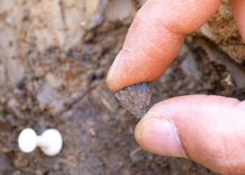 Neandertales fueron los primeros en encender el fuego de la humanidad.